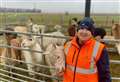 'I never thought my alpaca hobby would take me around the world'